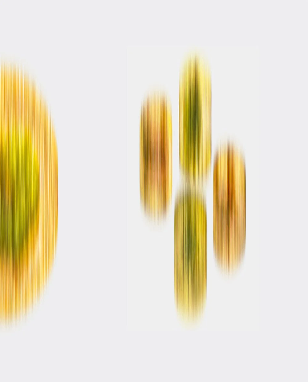 153.jpg