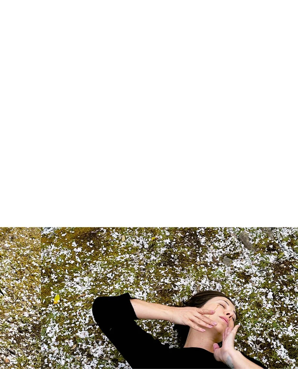 137.jpg
