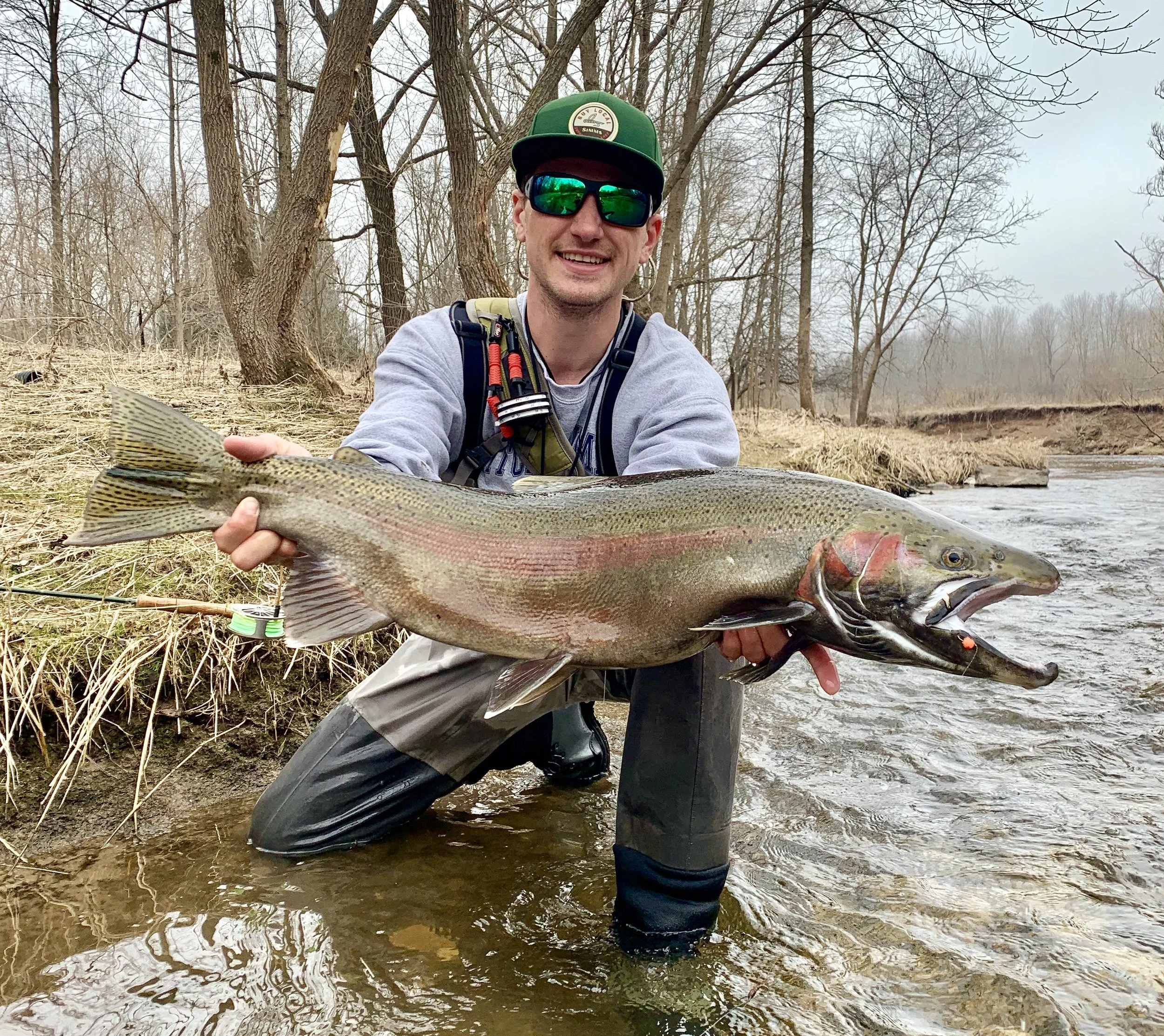 Huge Lake Michigan Steelhead