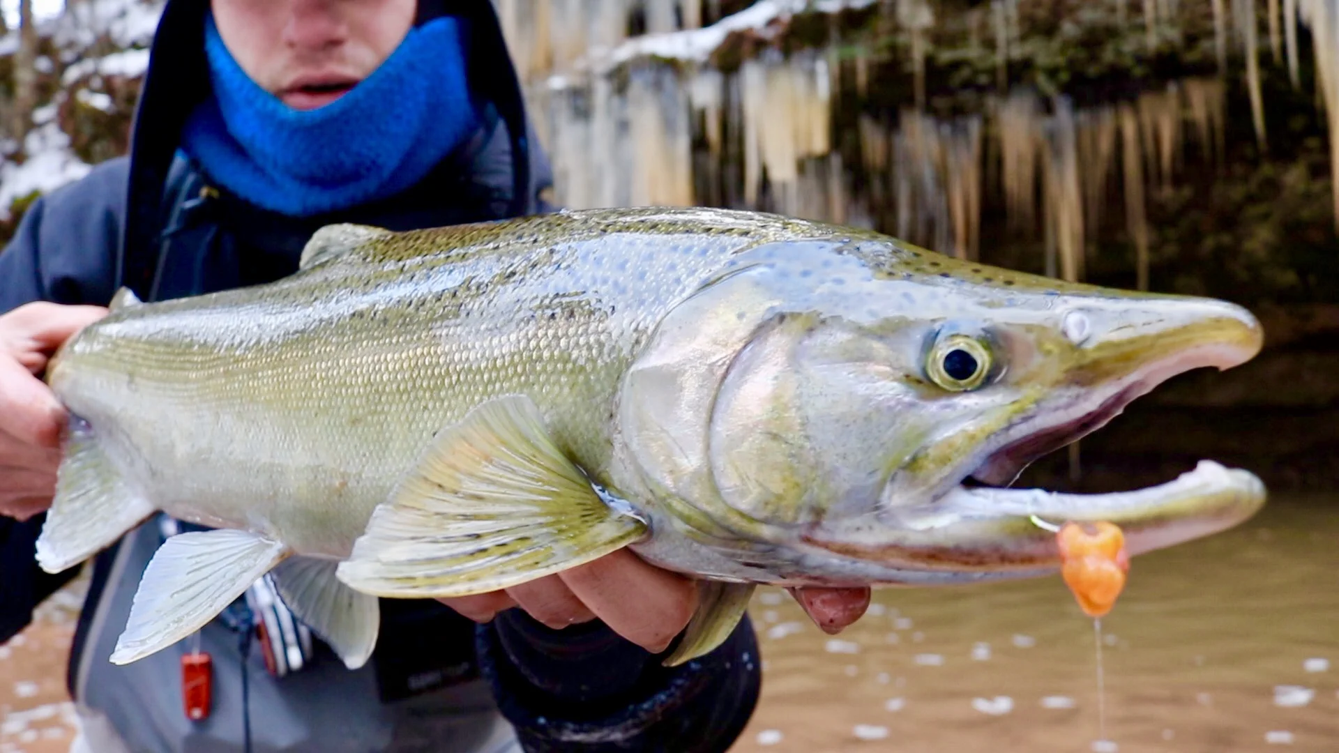 Fall Trout/Salmon (Book Now)
