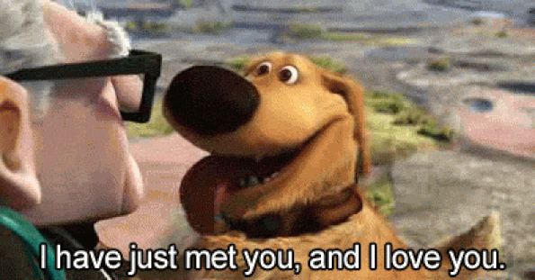 dug-i-have-just-met-you-and-i-love-you-up.gif