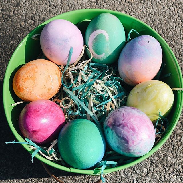 Hi there - still alive, here! Don&rsquo;t mind my absence. I&rsquo;ve let a few things slide lately, including being here.😶
.
You&rsquo;ll have to forgive me. I&rsquo;ve been busy delivering Easter eggs to our neighbors (Brynne&rsquo;s idea as a way