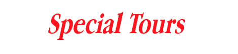 SpecialT.png