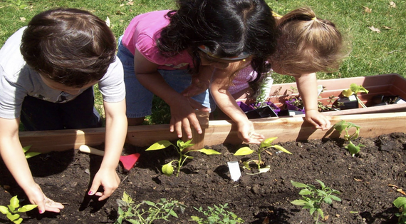 🌱 The RTG Let’s Start a Garden 2026 Mini-Grant is Now Open! 