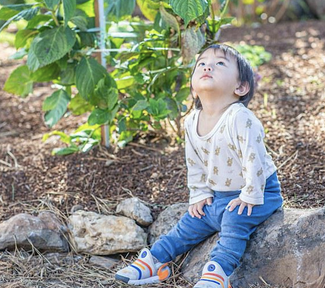 Starting with the Earliest Years: Advancing Nature in PN-3