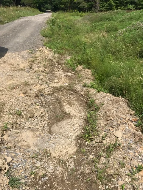 Rhoa Road Before