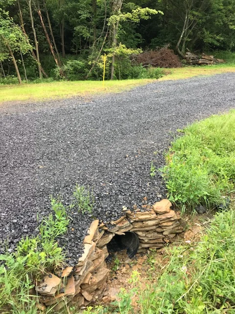 Rhoa Road After