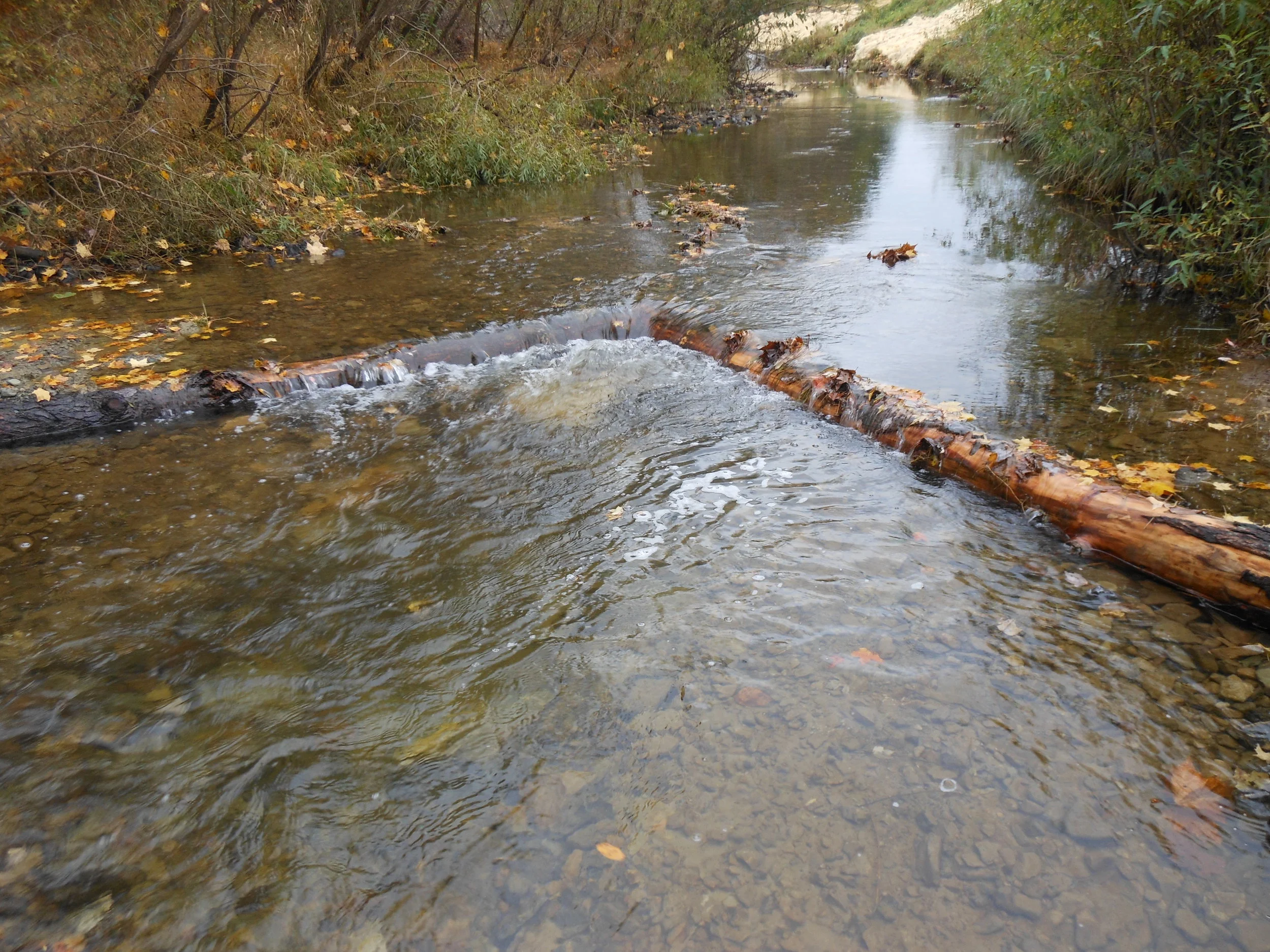 Stream Restoration — Cambria County Conservation District