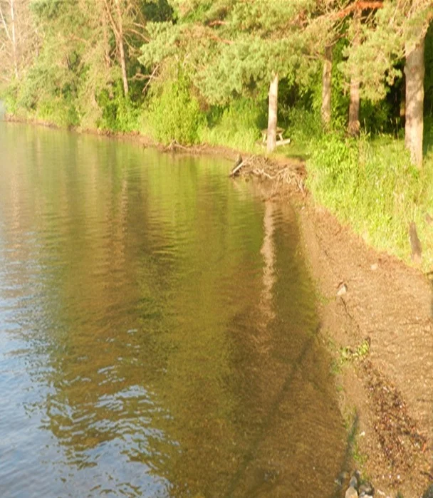 Shoreline Before