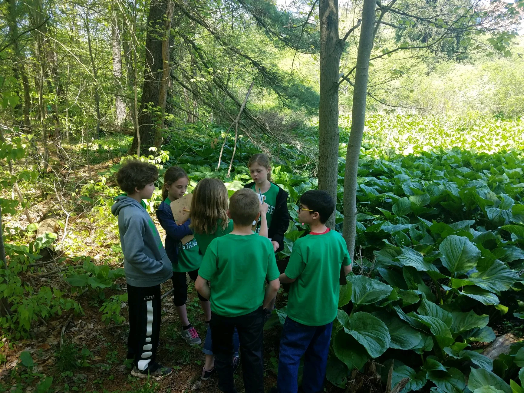 Trail hikes!