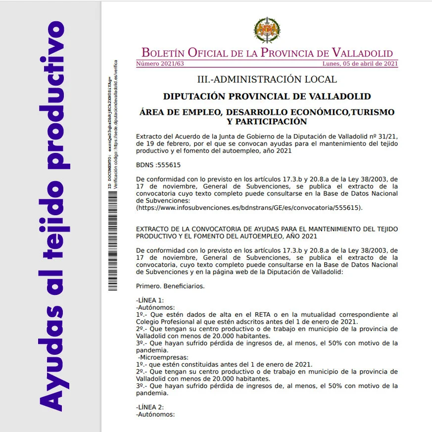 AYUDAS PARA EL MANTENIMIENTO DEL TEJIDO PRODUCTIVO Y EL FOMENTO DEL AUTOEMPLEO, AÑO 2021