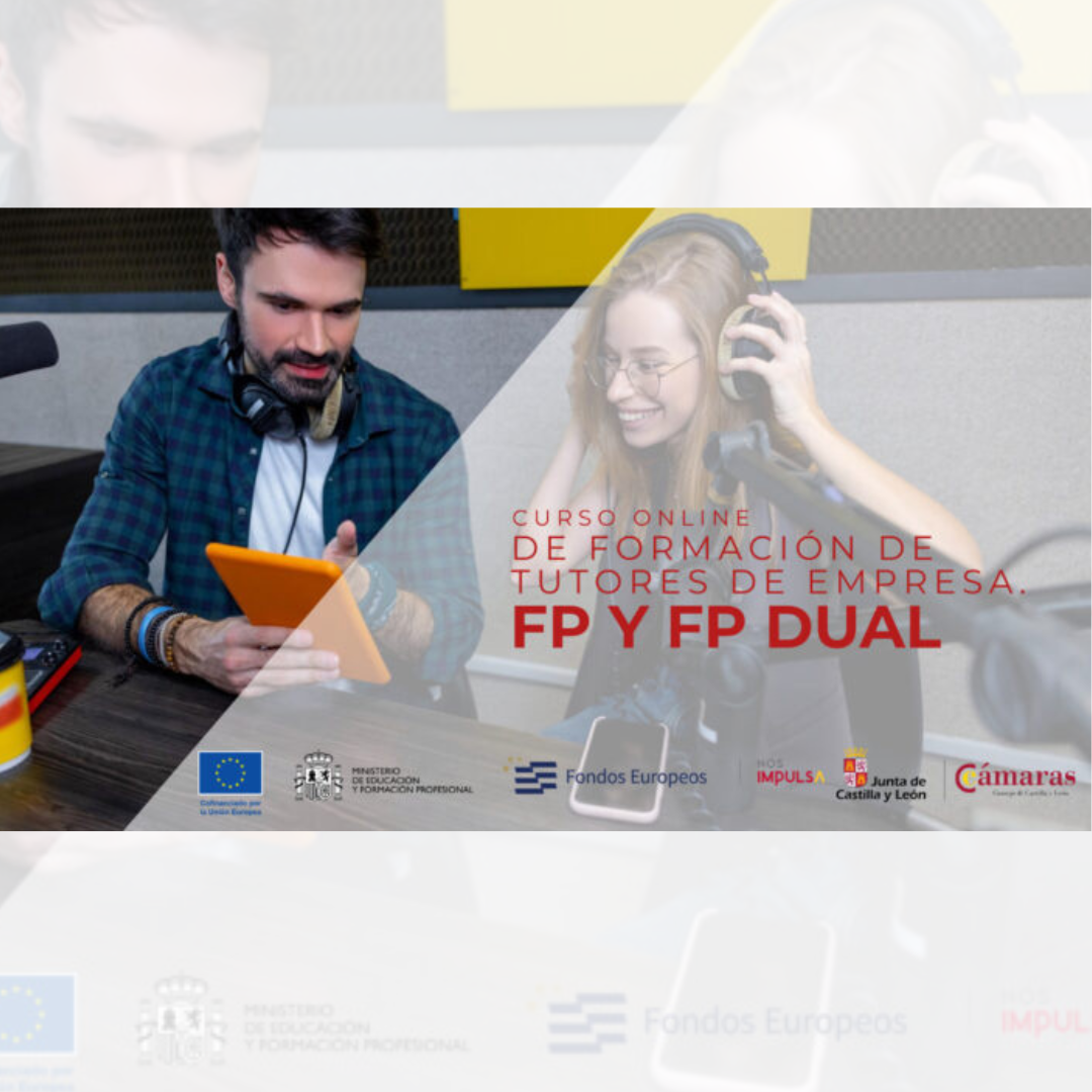 CURSO ONLINE DE FORMACIÓN DE TUTORES DE EMPRESA FP Y FP DUAL