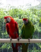 It's Finally Summer!