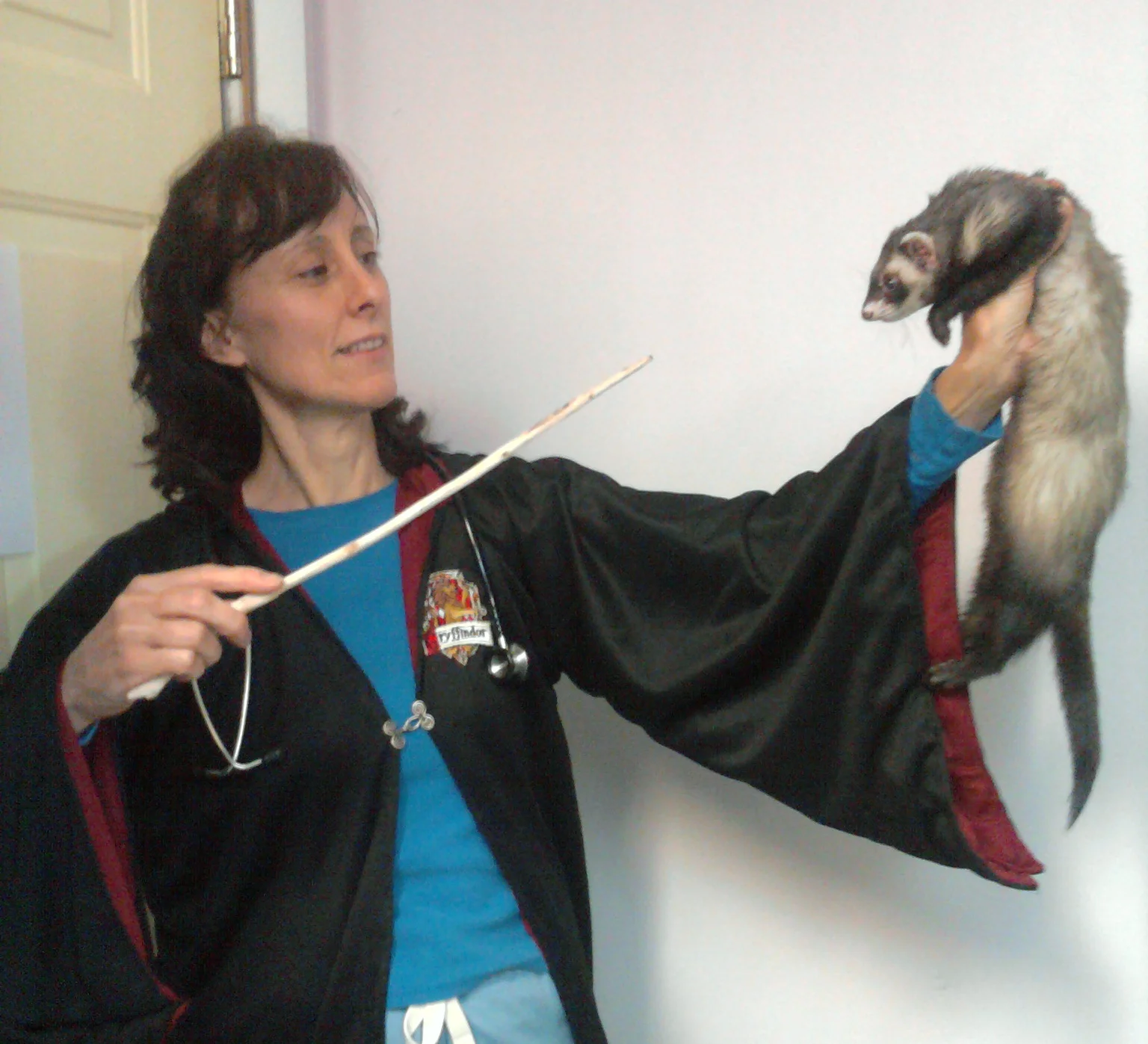 Happy Halloween from the staff at AEAC!