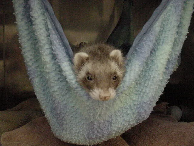 Come One, Come All!!