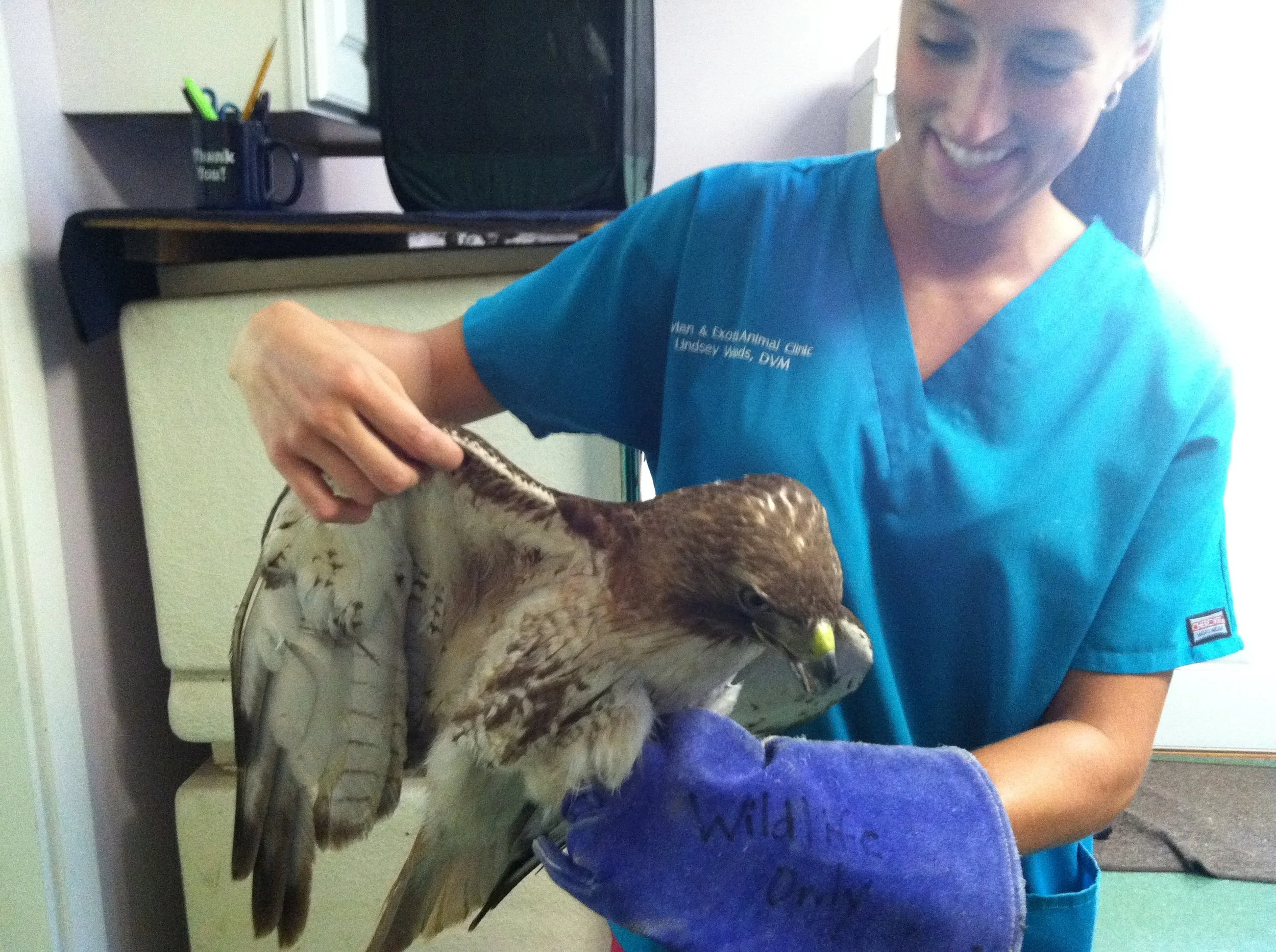 Q&A with Our Newest Addition