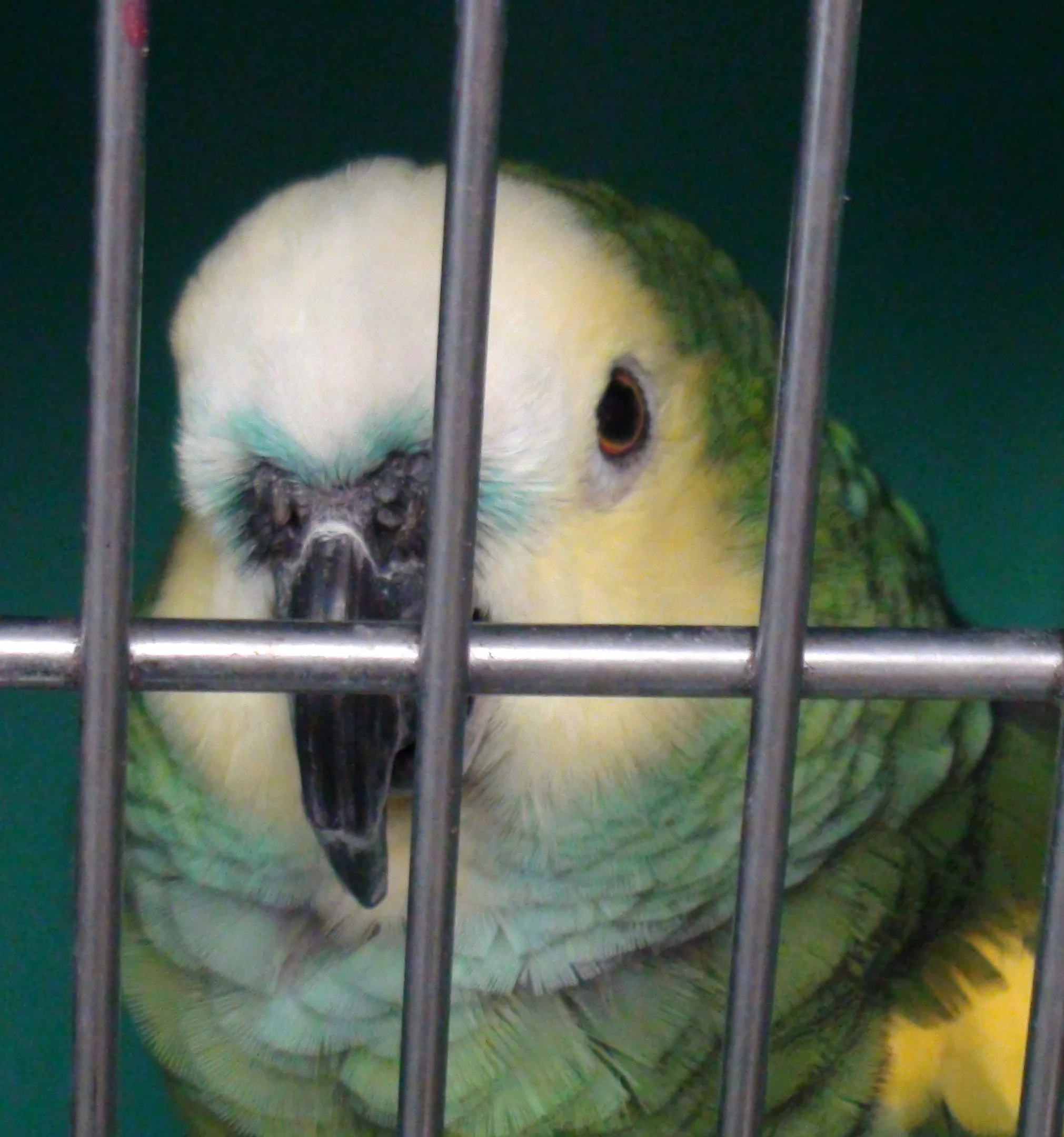 Welcome back, Dr. Lennox!