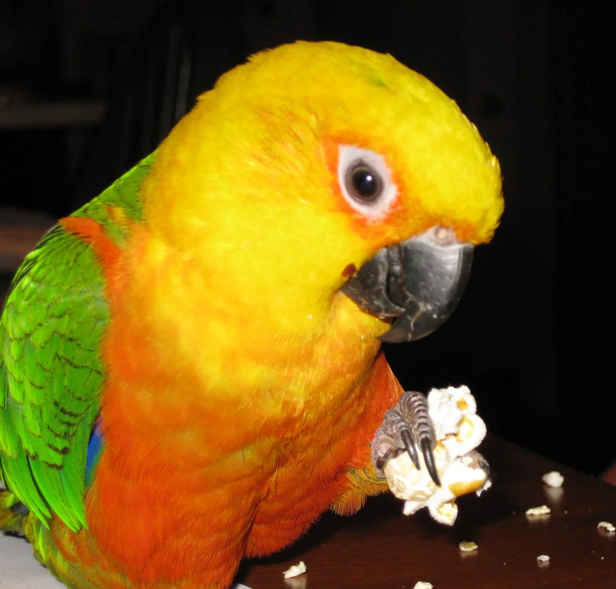 Harrison's Food Now Available