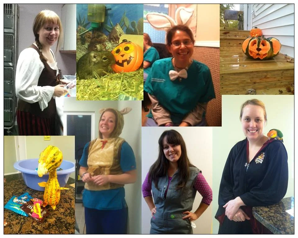 Halloween Costume Contest