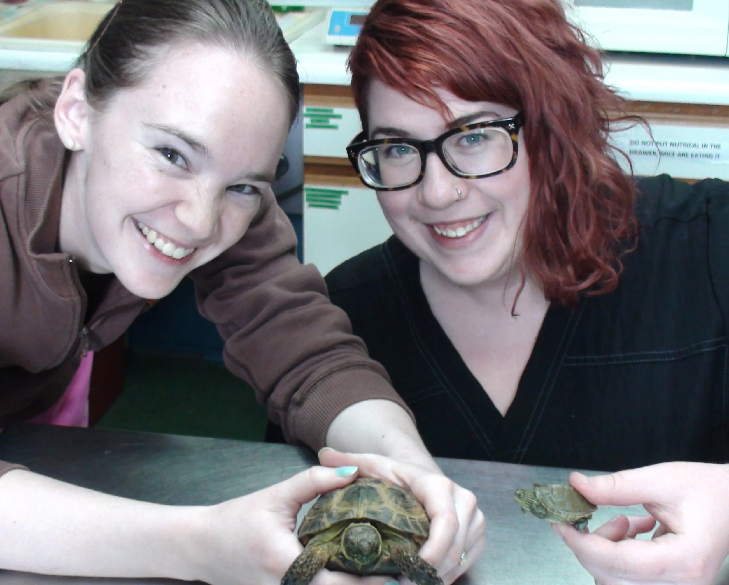 Our Wonderful Student Externs