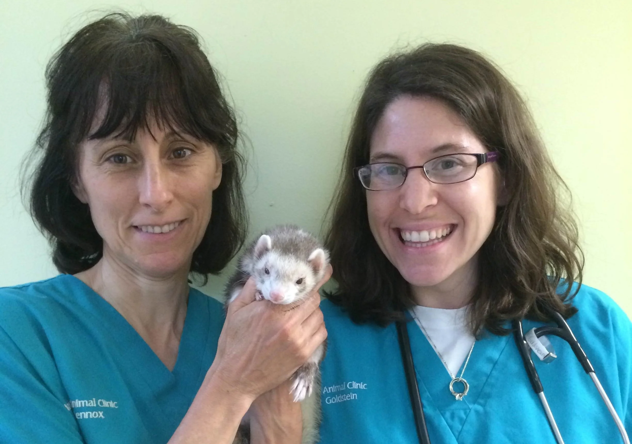 So long, Dr. Goldstein!