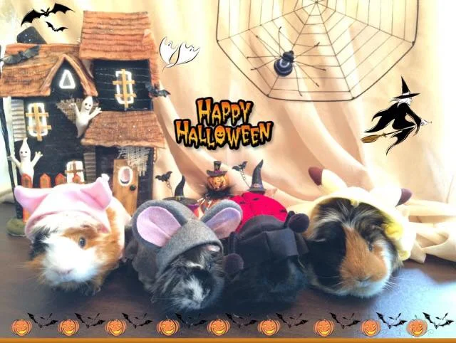 And the winners are...