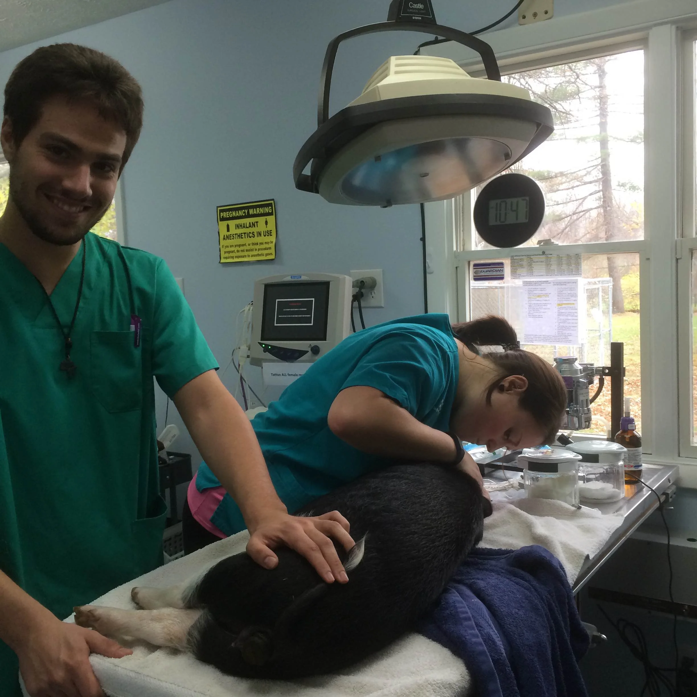 Another Visitor's Report