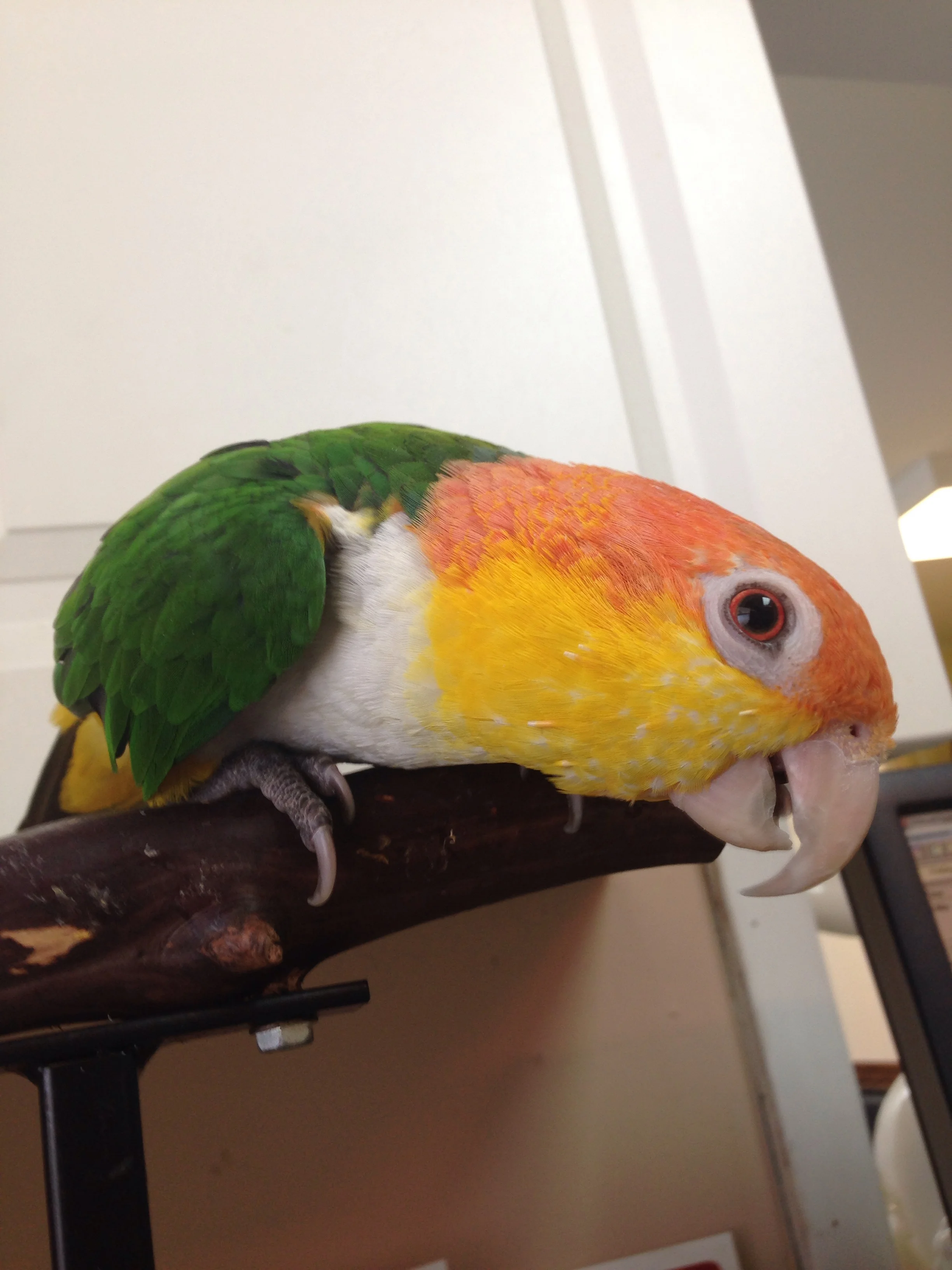 Happy (Late) New Year!