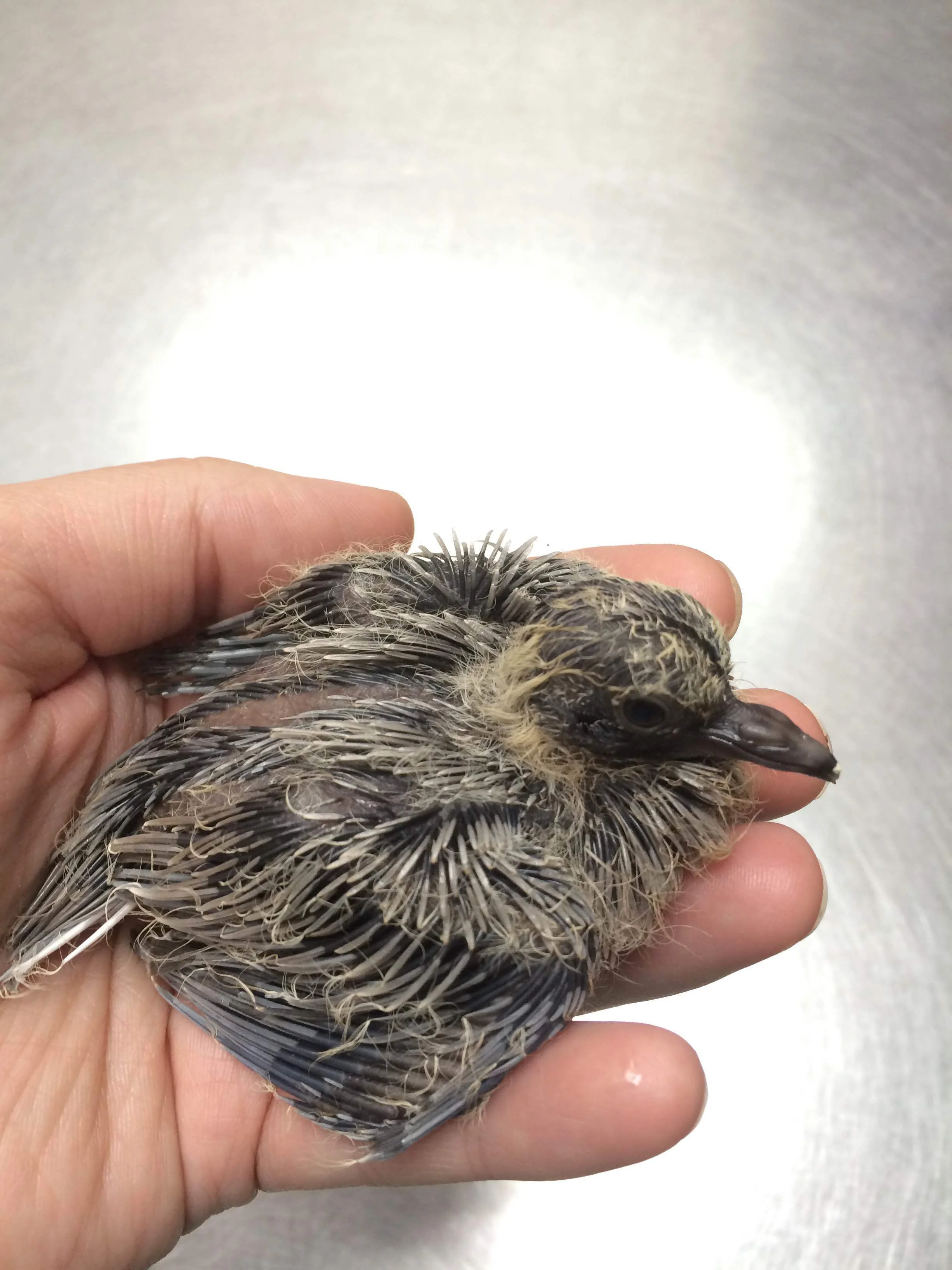 Holy Wind Tunnel, Batman!