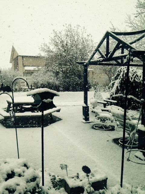 Walkin' in a Winter Wonderland