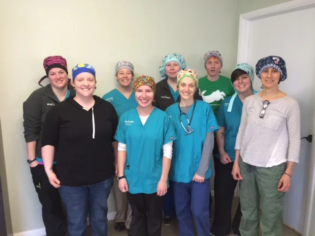 Exotic Hats for Everyone!