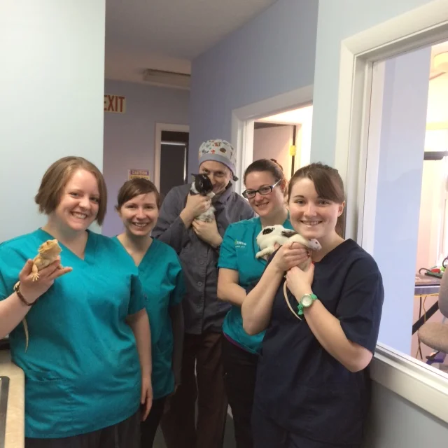 Veterinary Technician vs. Veterinary Nurse?