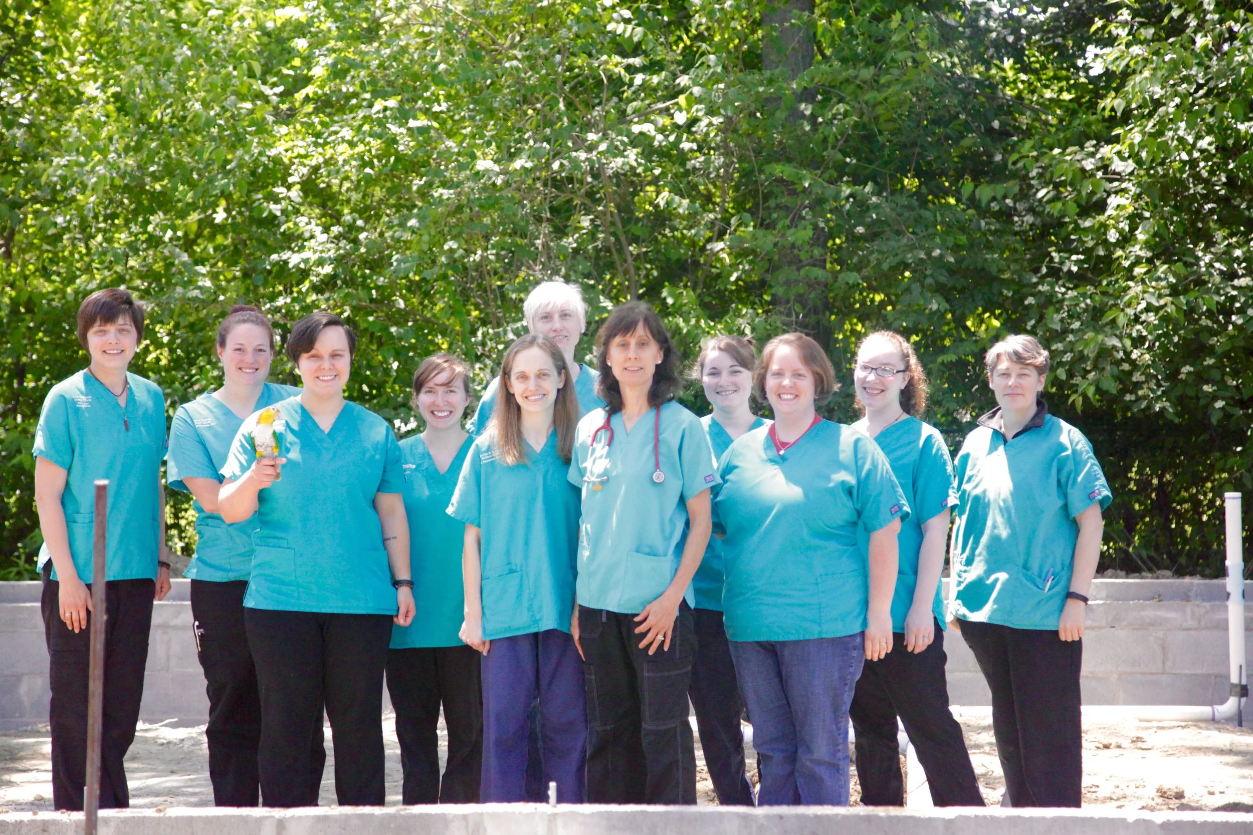 Announcing construction of the latest addition to the Avian and Exotic Animal Clinic:  The Avian and Exotic Inn!