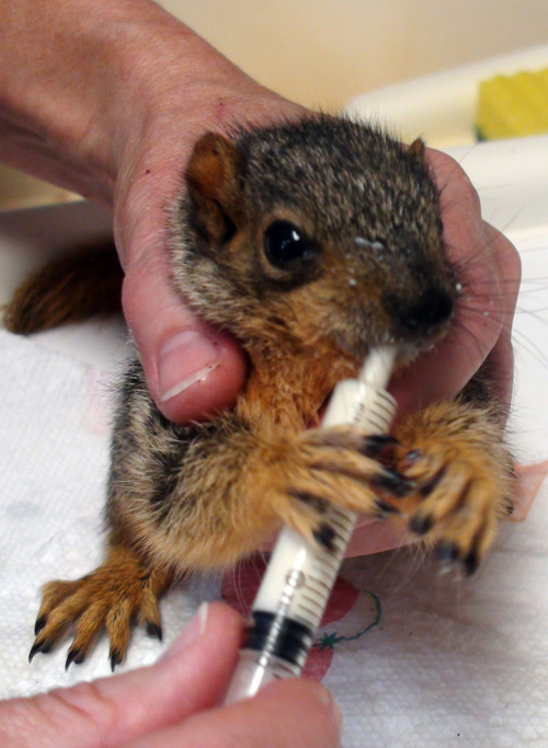 A Big Thank You to Our Friends at Animal Care Services!