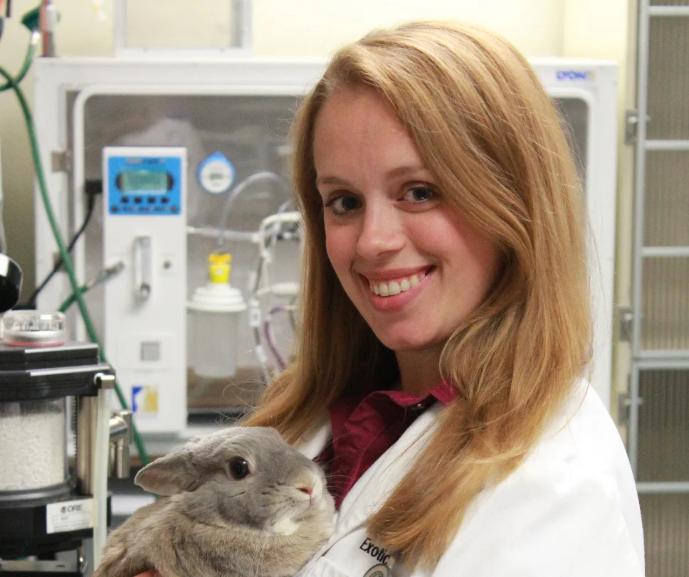 Introducing Dr. Taylor Lewis!