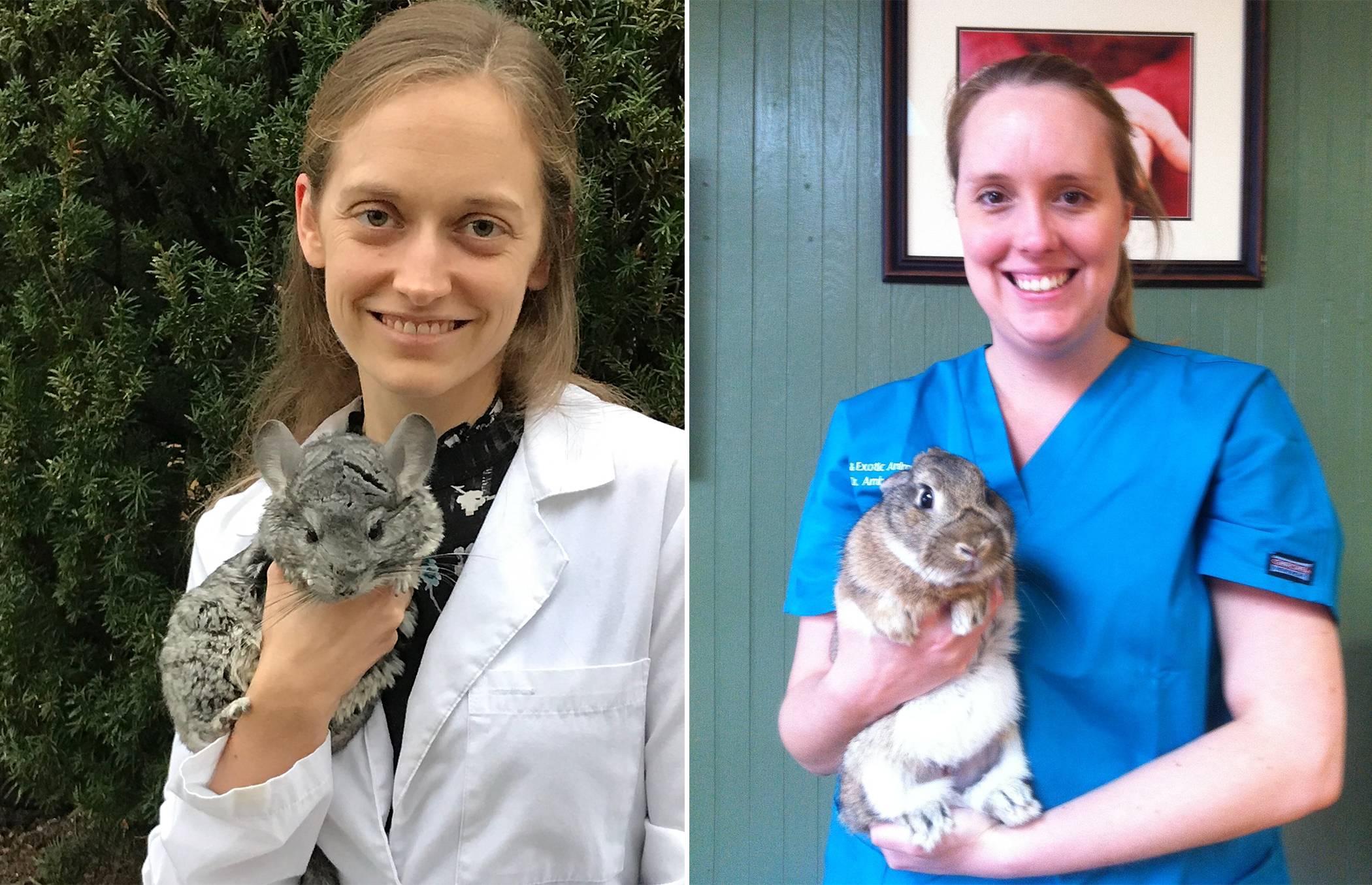 The staff of the Avian and Exotic Animal Clinic would like to announce two brand new exotic animal specialists!