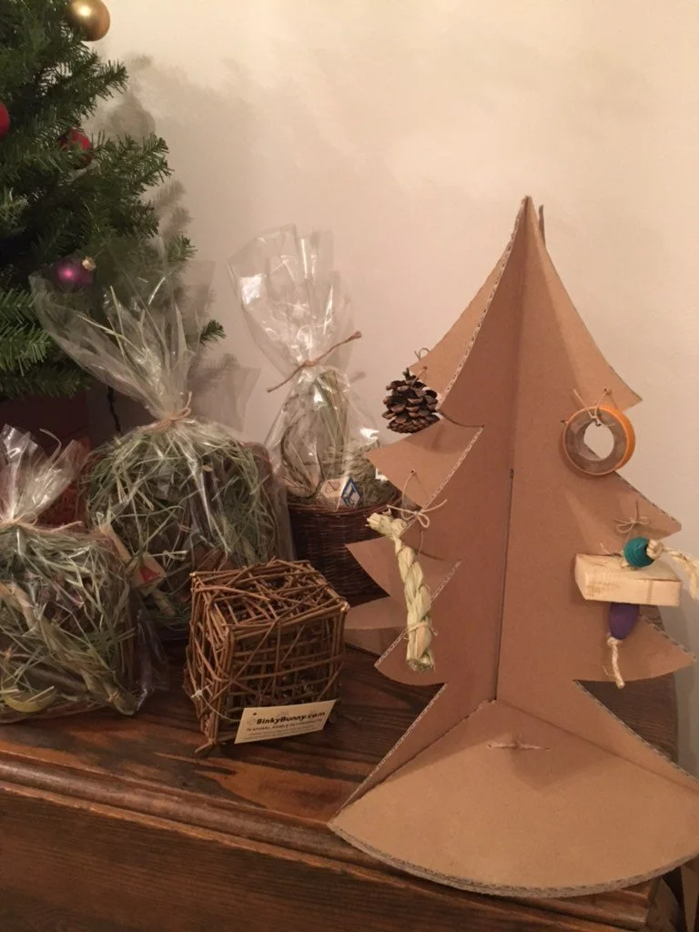 Looking for a special gift for a special exotic pet?