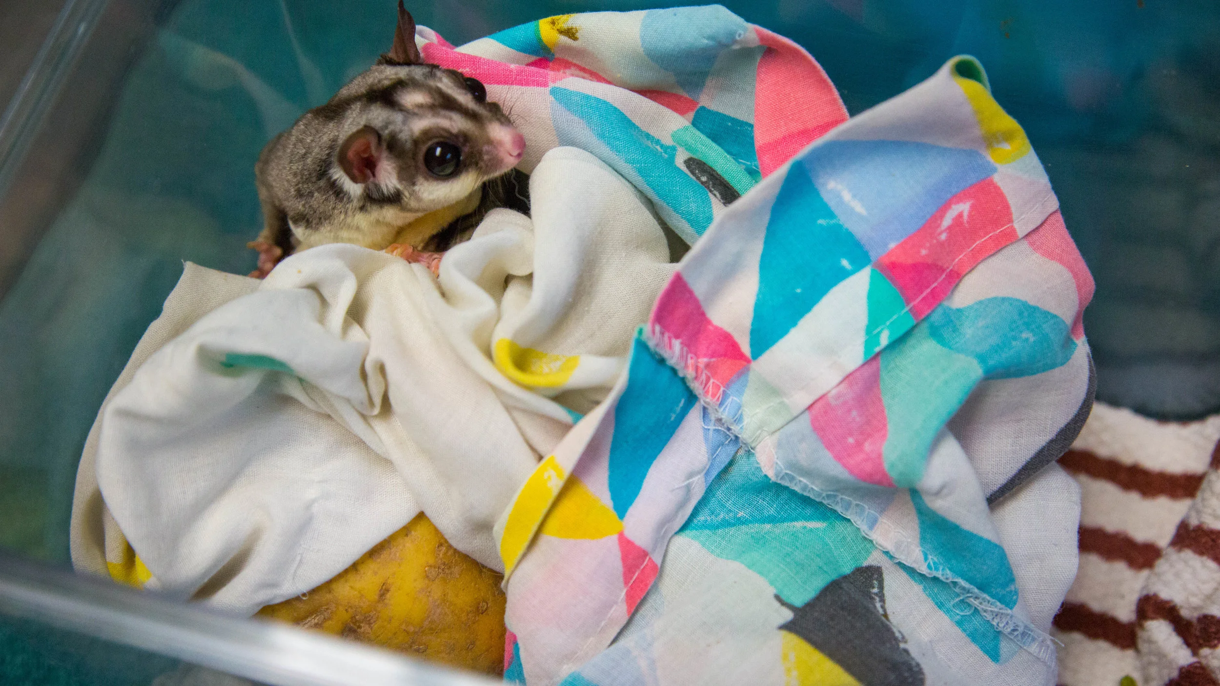 Traveling tips for cold weather!