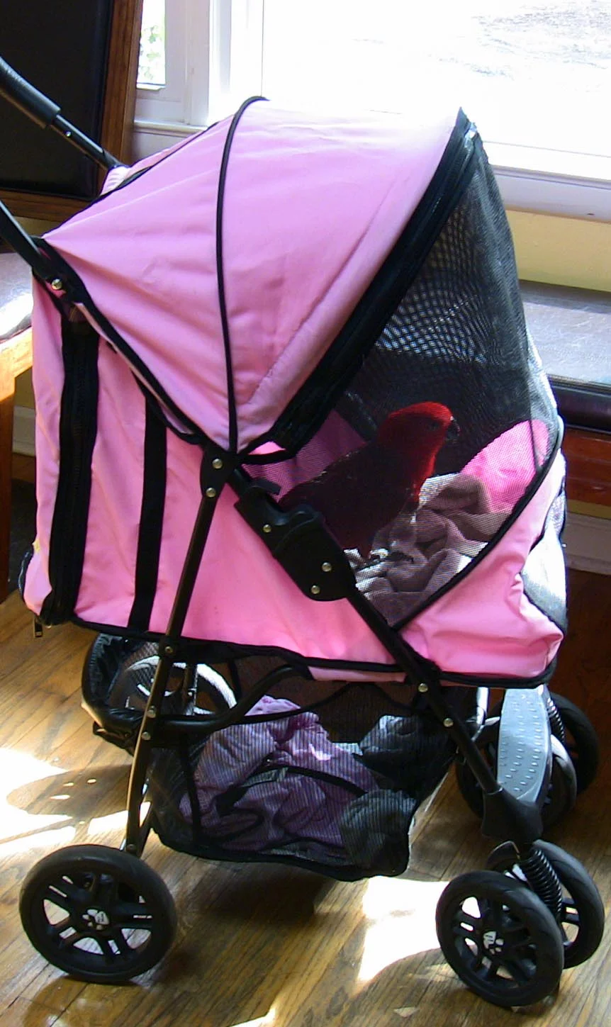 A Happy, Healthy, and Prosperous New Year