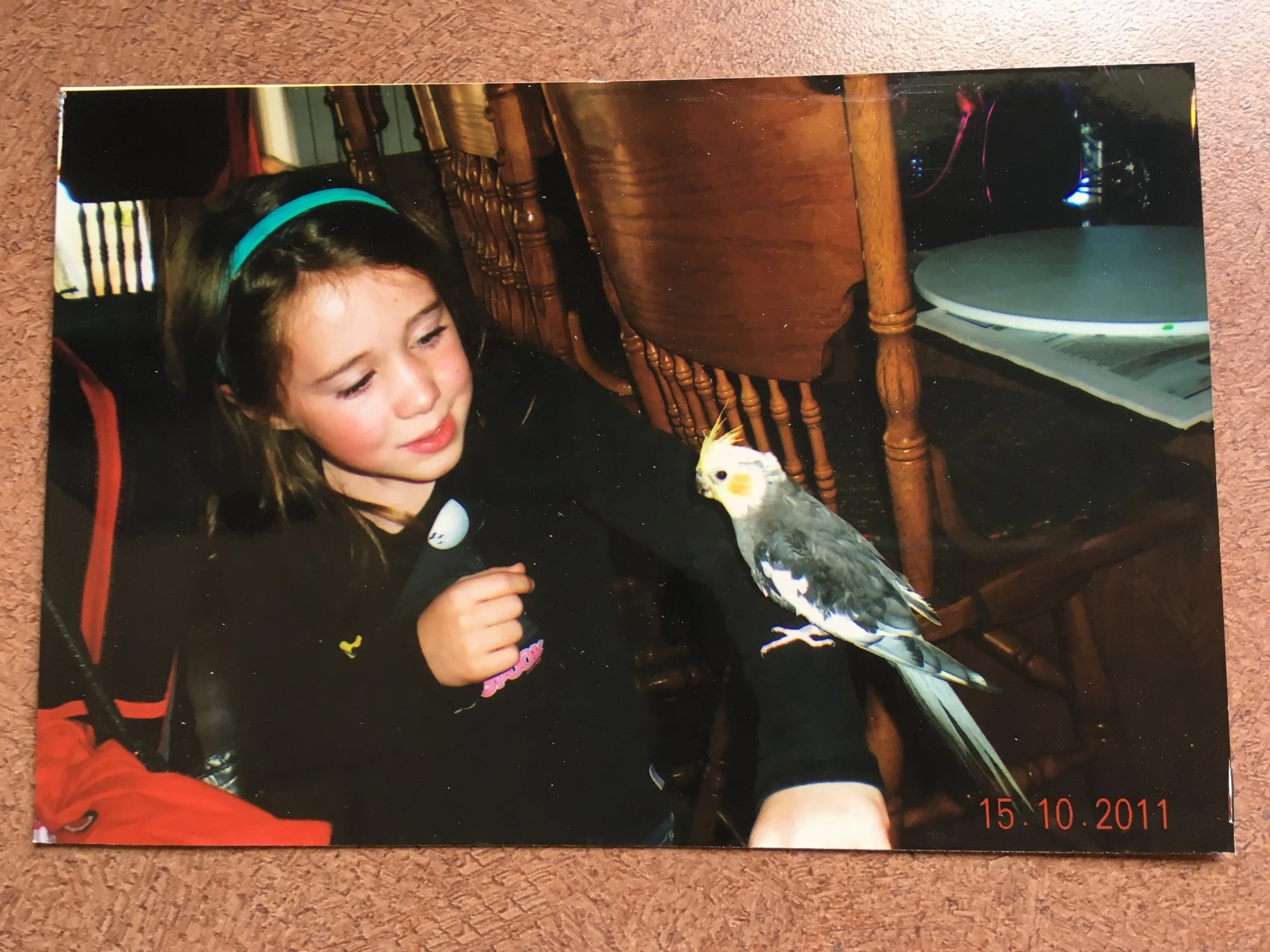 So How Long Can Cockatiels Live?