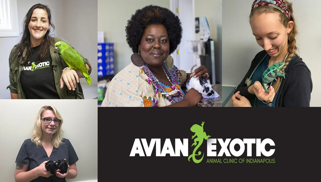 Meet our newest staff members!