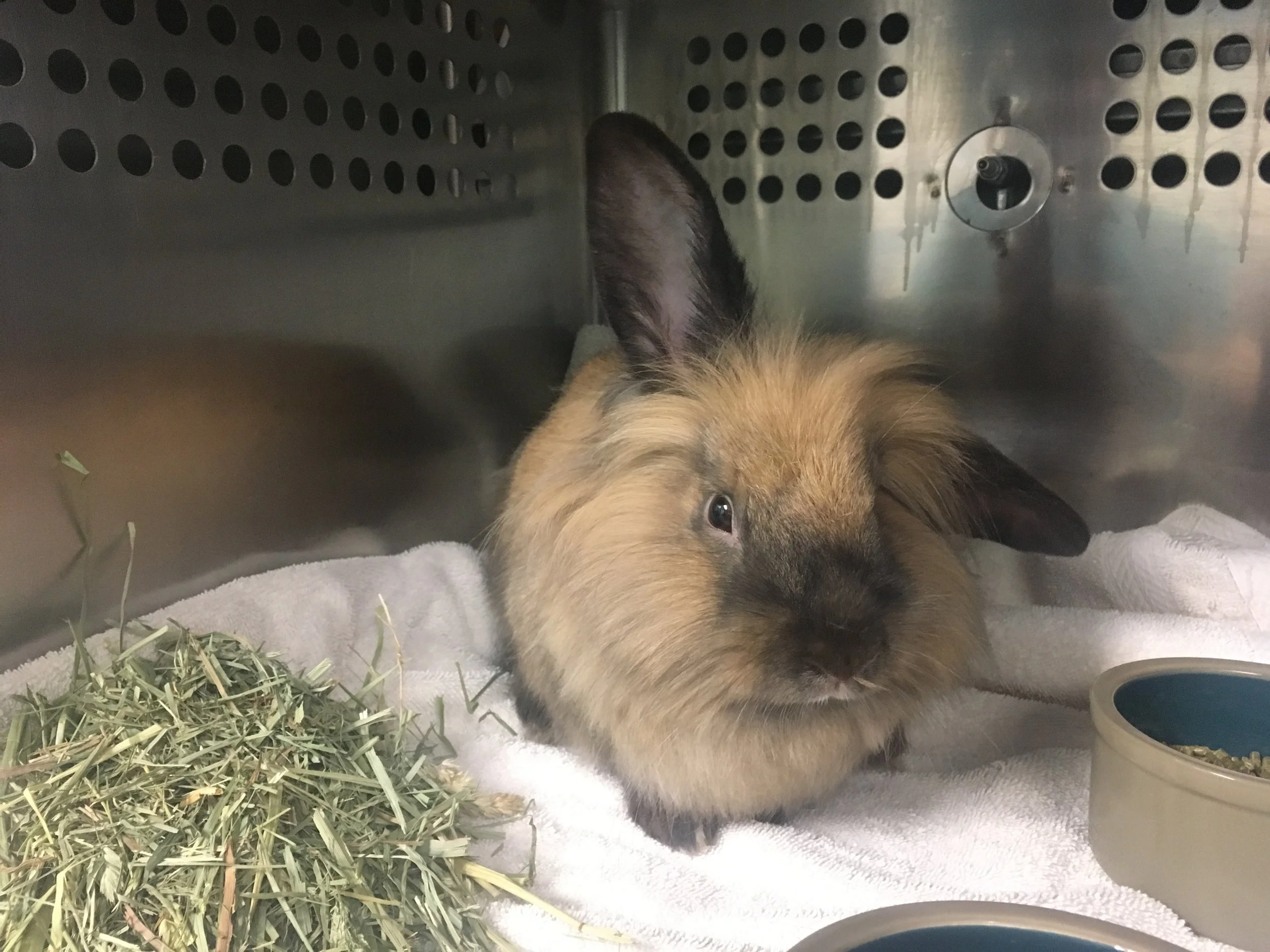 Merry Christmas and a Happy New Year!