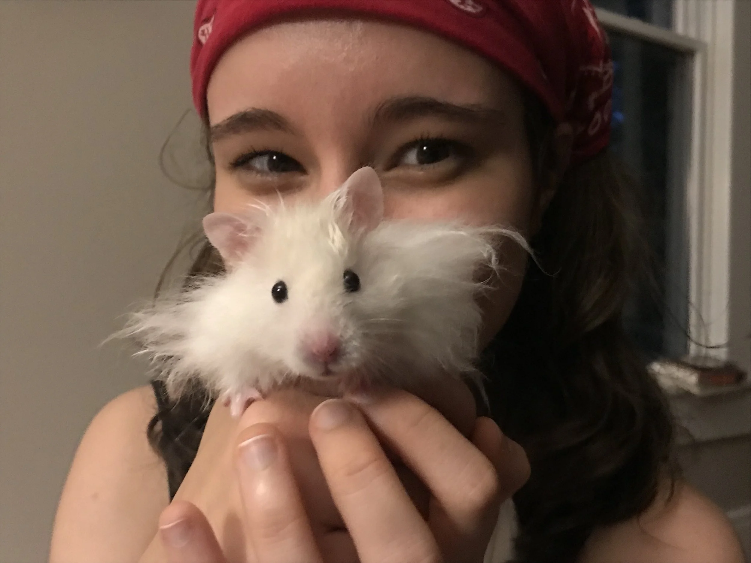 Sara's letter from Vet School