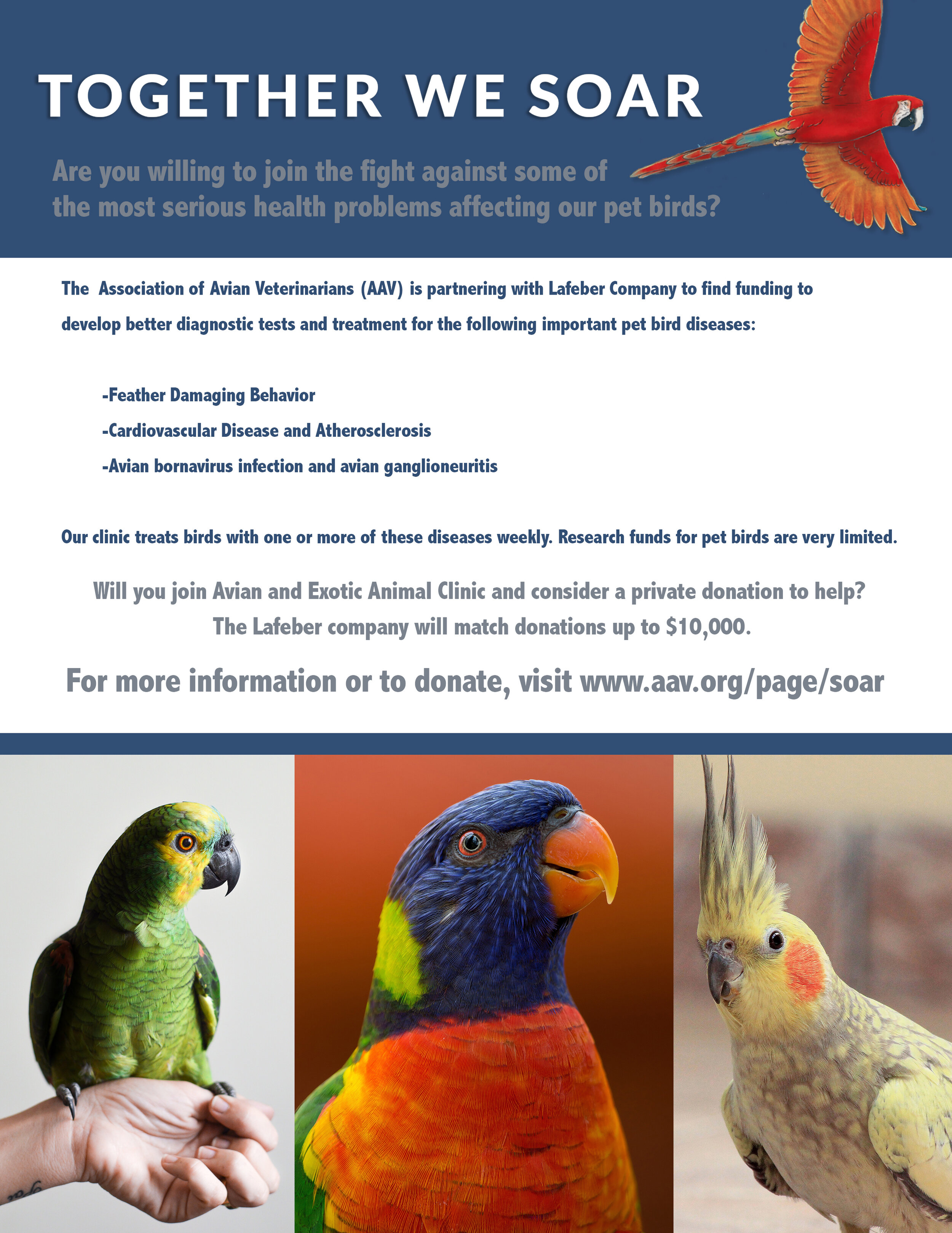 SOAR Grant for Avian Research - You Can Help! — AVIAN & EXOTIC ANIMAL CLINIC