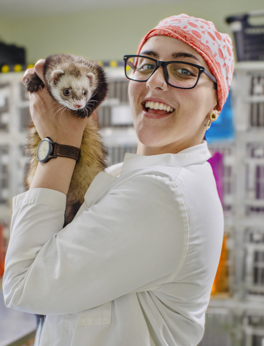 Ferret owners can breathe easier! — AVIAN & EXOTIC ANIMAL CLINIC