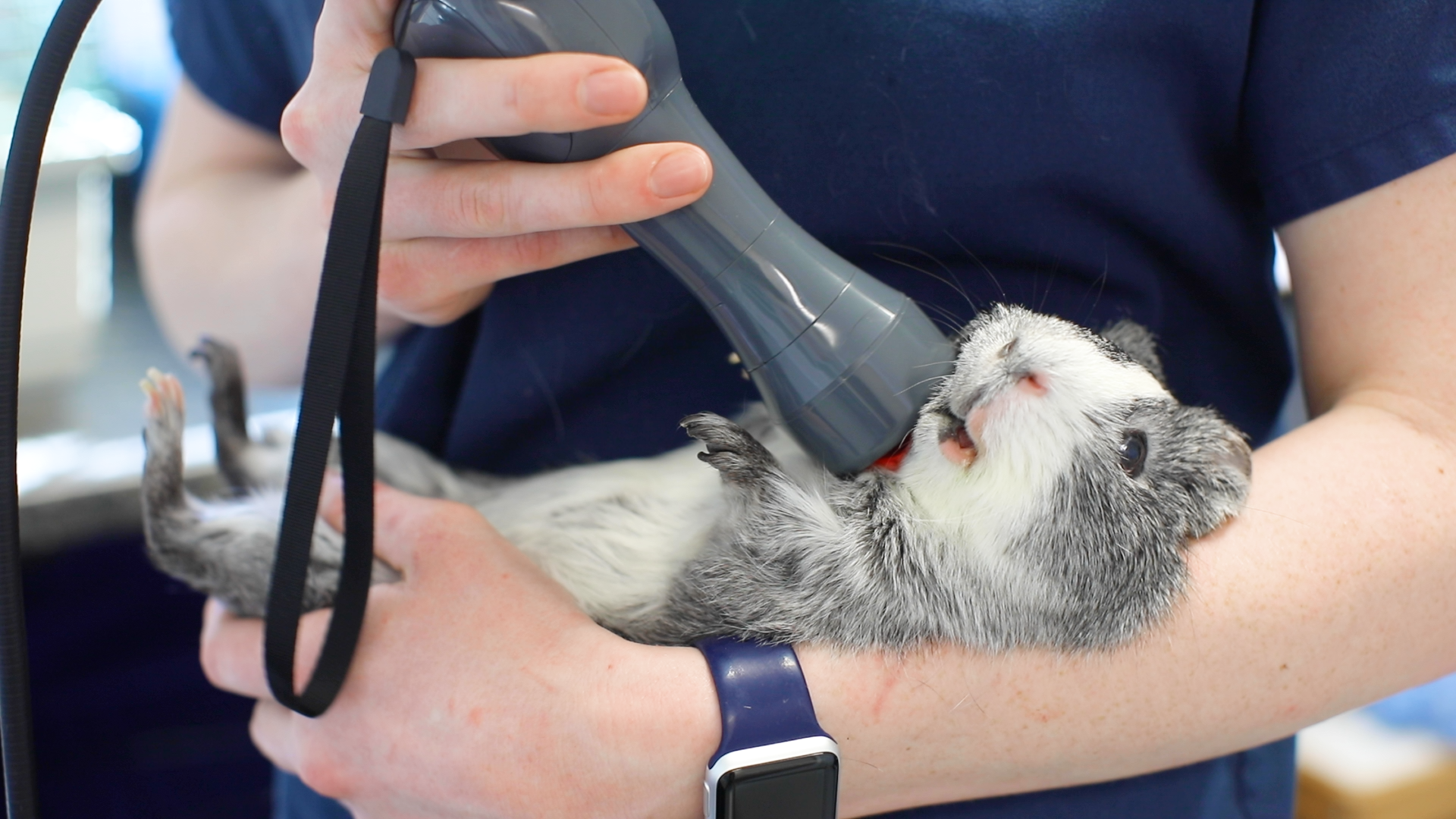 Laser Therapy.00_01_12_08.Still003.png