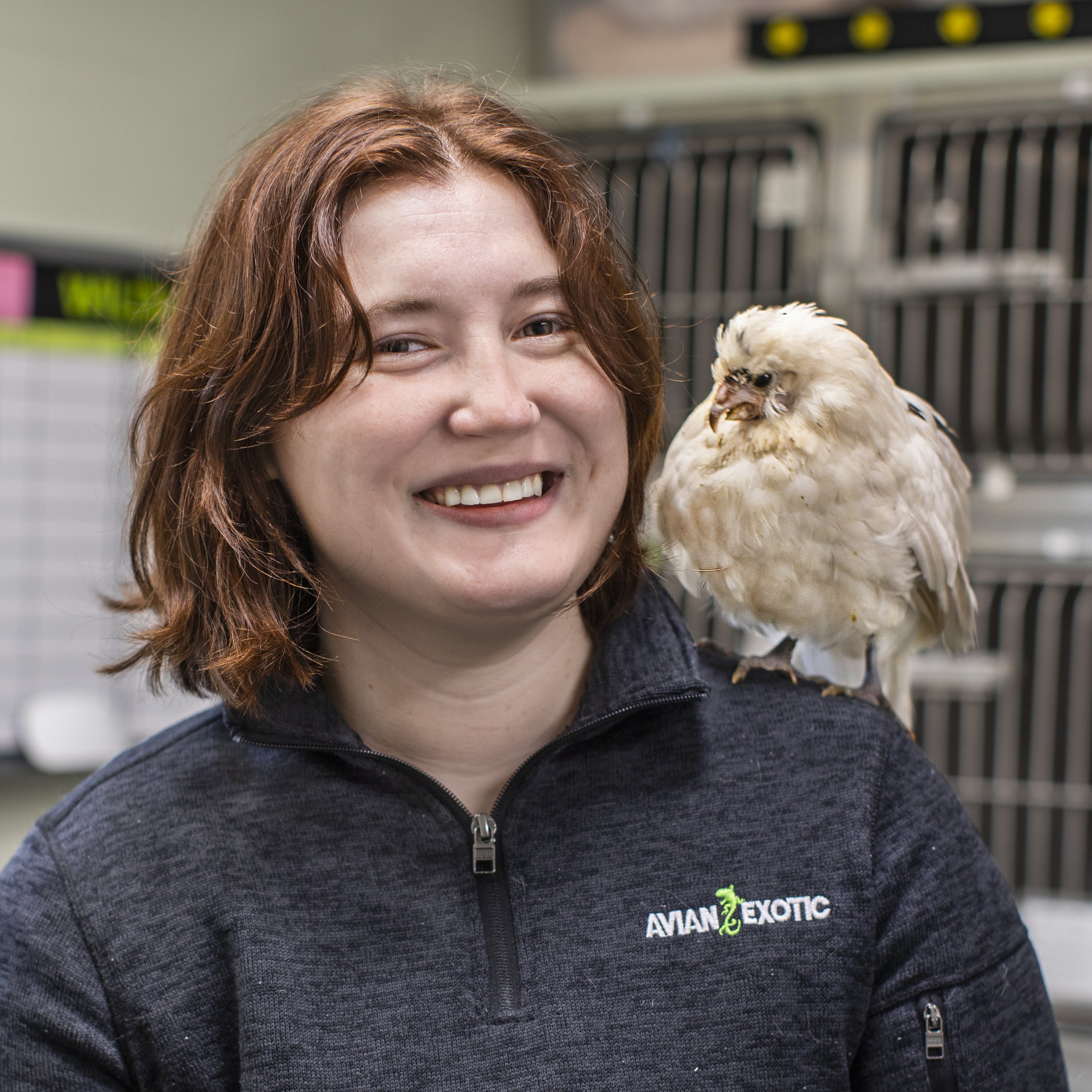 Meet Our Team — AVIAN & EXOTIC ANIMAL CLINIC