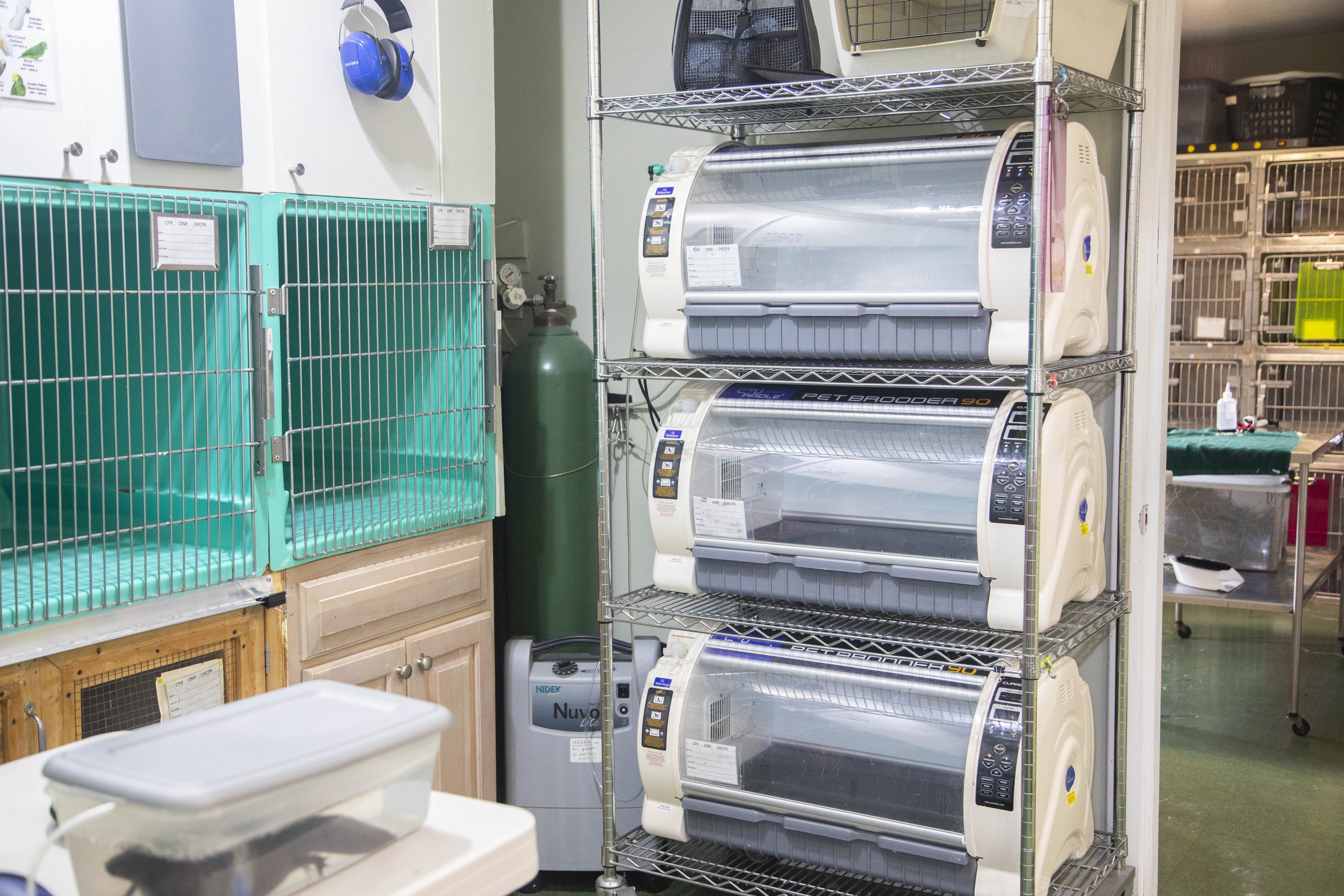 Our Facility AVIAN EXOTIC ANIMAL CLINIC Our Facility AVIAN EXOTIC ANIMAL CLINIC