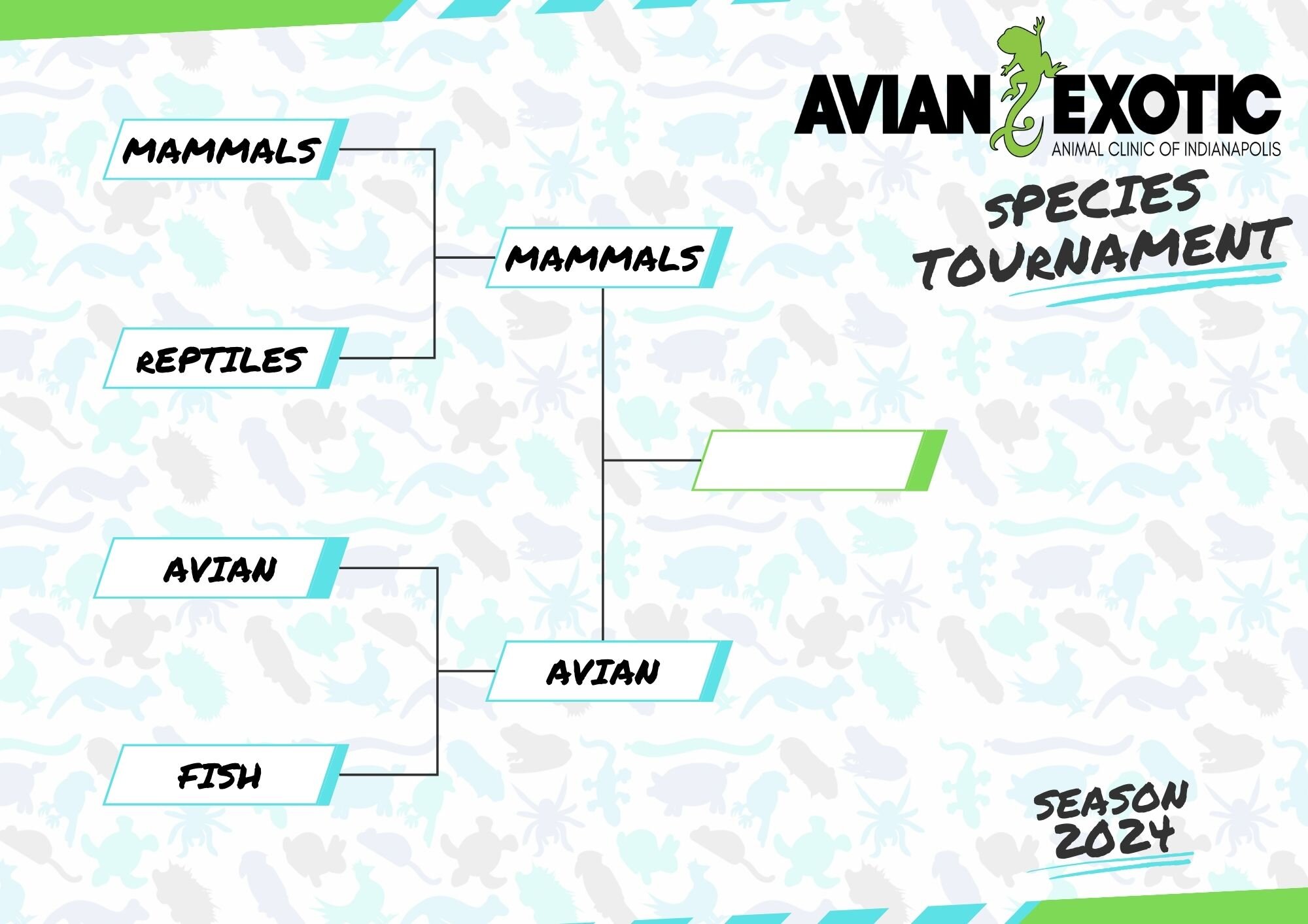 Mammals and Avian are onto the championship round! Now's  the time to decide, who will be our exotic species finalist for the 2024 tournament?! 🐰🦜🦎 #marchmadness #exoticvetclinic #exoticvetmed