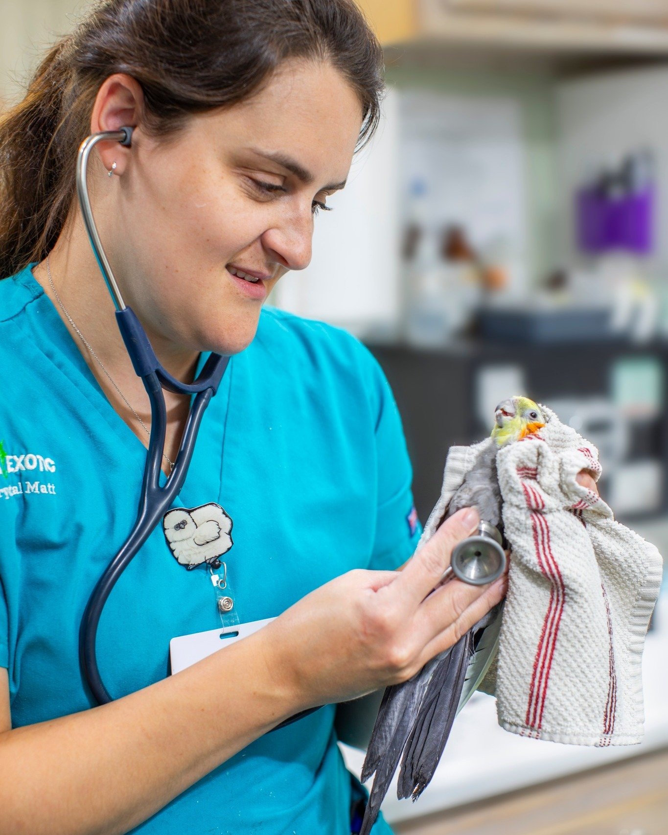It is never easy to lose a pet and the same is true for our patients. A long term patient of the clinic, Jackie, recently passed away after a fulfilling 20 years,  and he will be deeply missed by all who had the opportunity to meet him. In Jackie&rsq